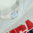 Load image into Gallery viewer, Champion 1990s Reverse Weave USA Basketball Crewneck - L