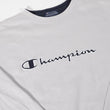 Load image into Gallery viewer, Vintage Champion Embroidered Spell Out Crewneck - L/XL