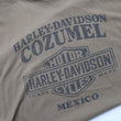 Load image into Gallery viewer, Vintage Harley Davidson Graphic T-Shirt - XL
