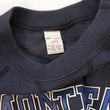 Load image into Gallery viewer, Vintage Champion Montreal Canadiens Spell Out Crewneck - L