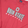 Load image into Gallery viewer, Vintage Ohio State Spell Out Crewneck - XL