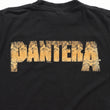 Load image into Gallery viewer, Vintage 2000 Pantera Graphic T-Shirt - L