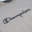 Load image into Gallery viewer, Vintage Champion Embroidered Spell Out Crewneck - M/L