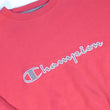 Load image into Gallery viewer, Vintage Champion Embroidered Spell Out Crewneck - L