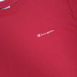 Load image into Gallery viewer, Vintage Champion Embroidered Spell Out T-Shirt - L