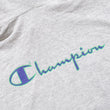 Load image into Gallery viewer, Vintage Champion Rochester Warm Up Hooded Sweatshirt - XL