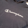 Load image into Gallery viewer, Vintage Champion Embroidered Spell Out Sweatshirt - M/L