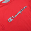 Load image into Gallery viewer, Vintage Champion Big Embroidered Spell Out Long Sleeve - L