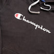 Load image into Gallery viewer, Vintage Champion Spell Out Hoodie - L