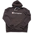 Load image into Gallery viewer, Vintage Champion Spell Out Hoodie - L
