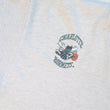 Load image into Gallery viewer, Vintage Charlotte Hornets Front & Back Graphic T-Shirt - M/L