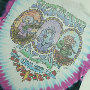 1993 Grateful Dead Seasons Of The Dead Endless Tour Tie Dye T-Shirt - XL