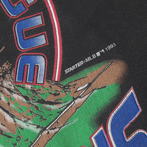 Vintage 1993 Starter Philadelphia Phillies Single Stitch Champions T-Shirt - L