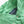 Load image into Gallery viewer, Vintage Polo Ralph Lauren Short Sleeve Button Up - M
